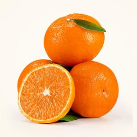 武鸣无核沃柑一件