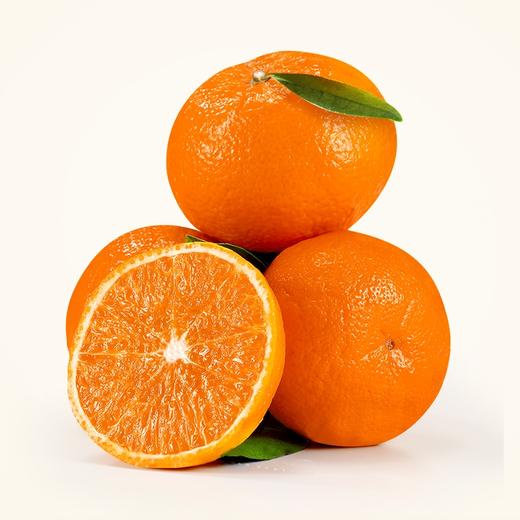 武鸣无核沃柑一件 商品图0