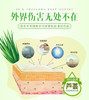安格琪AGACHY芦荟胶300g 商品缩略图4