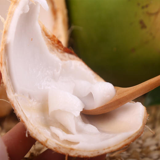 新鲜海南青椰子 1个 商品图7