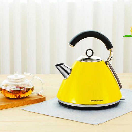 【清新优雅英伦风304不锈钢】英国摩飞电水壶MR7456家用大容量烧水壶【摩飞】 商品图0