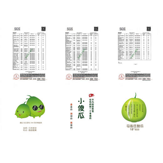 小傻瓜 真正地标级正宗马连庄小甜瓜 无农残不催熟 带皮啃 太好吃停不下来 顺丰包邮|百里食 商品图6