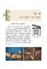 【中国农业出版社官方正版】视频图文版毛竹定向培育技术 商品缩略图3