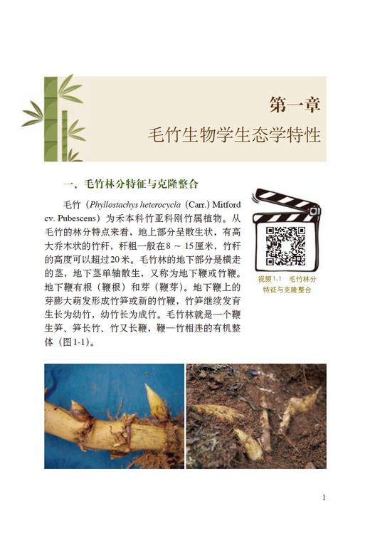 【中国农业出版社官方正版】视频图文版毛竹定向培育技术 商品图3