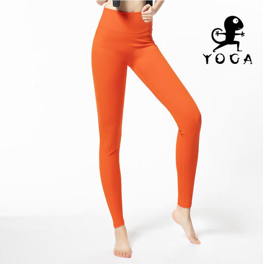 壁虎瑜伽《2103SY001》高弹轻薄瑜伽两件套（无胸垫） 商品图3