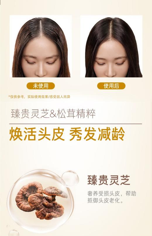 吕臻参焕活御时生机洗发水400ml 商品图3