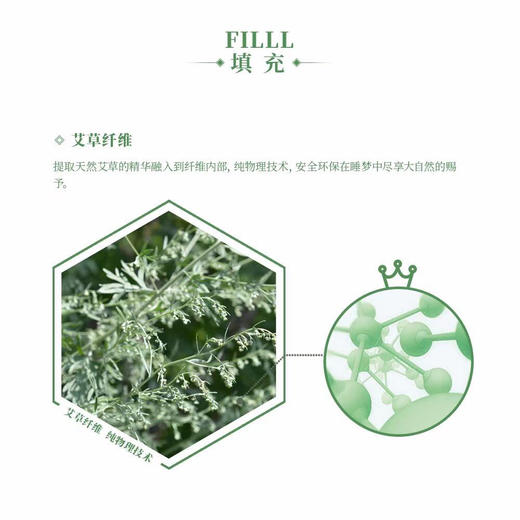 【多喜爱】第二代艾贵人养生春秋被 商品图4