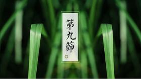 第九节 | 岩兰草：撞见真神，留住愚忠