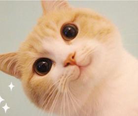 酱酱特别福利来啦！不看后悔系列！🤩