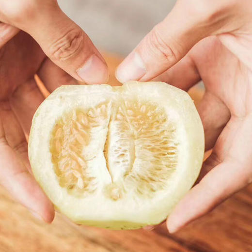 小傻瓜 真正地标级正宗马连庄小甜瓜 无农残不催熟 带皮啃 太好吃停不下来 顺丰包邮|百里食 商品图2