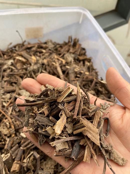 排草  香排草 商品图5