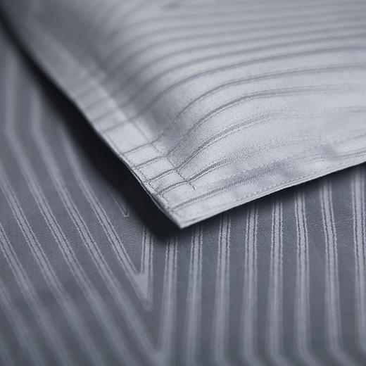 昆汀进口长绒棉四件套 商品图4