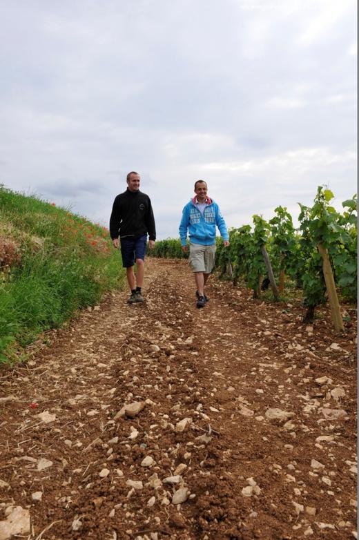 陛图思酒庄沃尔奈一级碧图园干红2015Domaine Bitouzet-Prieur Volnay 1er Cru"Pitur 商品图4