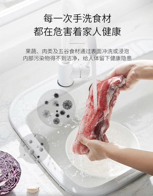 央视上榜品牌-豪华食材净化消毒机-蔬菜水果肉类消毒 商品图4