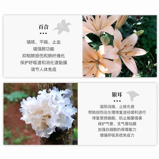 已下架】赠金康素1瓶】中科和素 金康素 压片糖果0.8g*60粒/瓶*4瓶 [D类] 商品图2