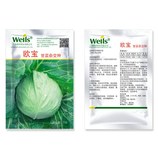 [专业种子] “欧宝”甘蓝种子 商品图1