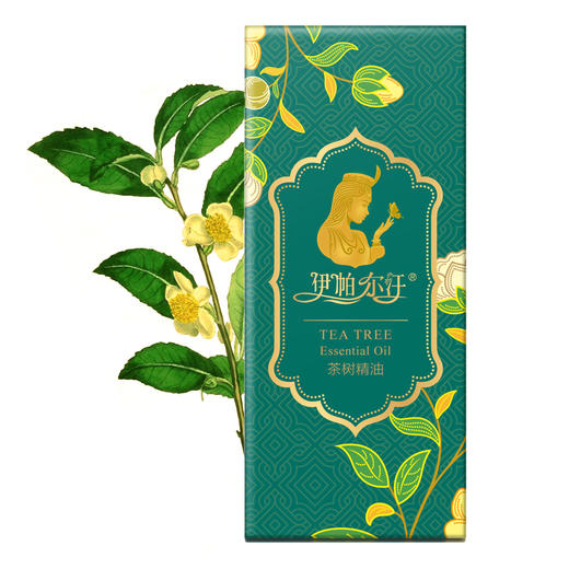 伊帕尔汗茶树精油 香薰单方精油10ml 商品图2