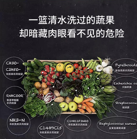央视上榜品牌-豪华食材净化消毒机-蔬菜水果肉类消毒 商品图3