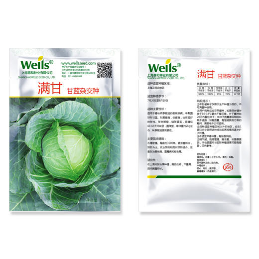 [专业种子] “满甘”甘蓝种子   商品图1