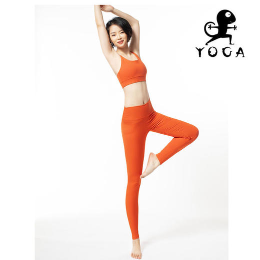 壁虎瑜伽《2103SY001》高弹轻薄瑜伽两件套（无胸垫） 商品图4