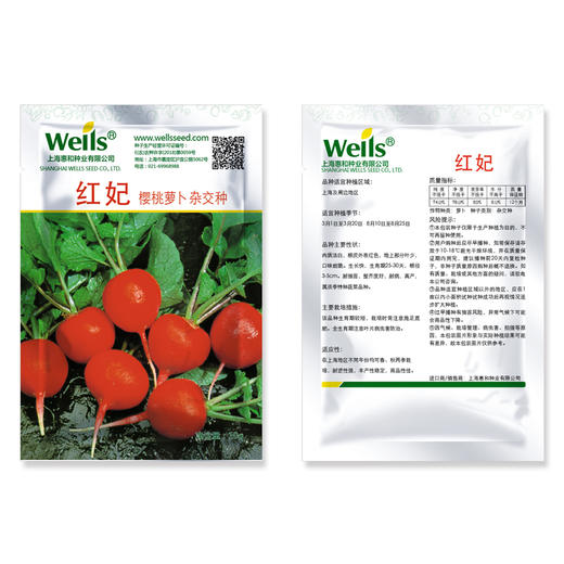 [专业种子]  “红妃”萝卜种子  商品图1