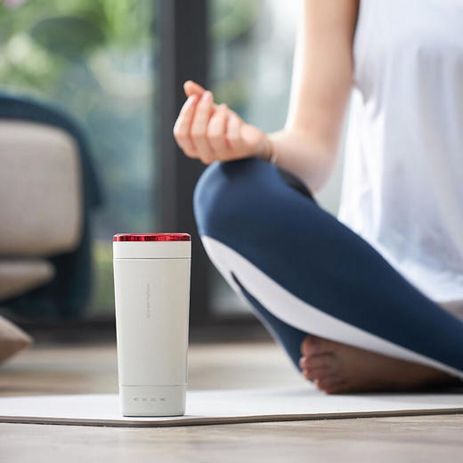 【网红爆款可调温度的烧水杯】摩飞便携烧水杯MR6060便携式烧水保温壶免开盖烧水真空保温6小时全球通用电压多国适用【摩飞系列】 商品图6