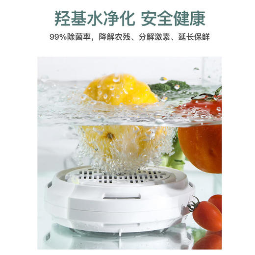 【法格】法格洗菜机果蔬机清洗机家用全自动食材净化机蔬菜水果解毒机净食 商品图2