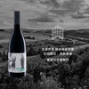 【自然酒】酒富爱至云开雾散时干红葡萄酒  红白混酿  Weinreich Heiter Bis Wolkig 2019 商品缩略图0