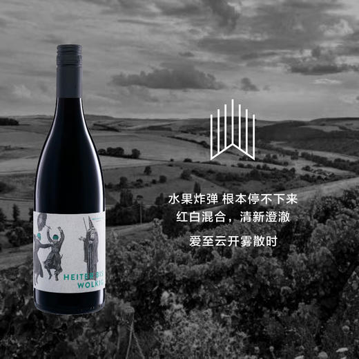 【自然酒】酒富爱至云开雾散时干红葡萄酒  红白混酿  Weinreich Heiter Bis Wolkig 2019 商品图0