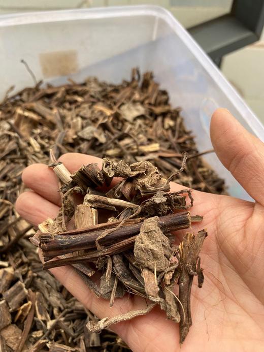 排草  香排草 商品图4