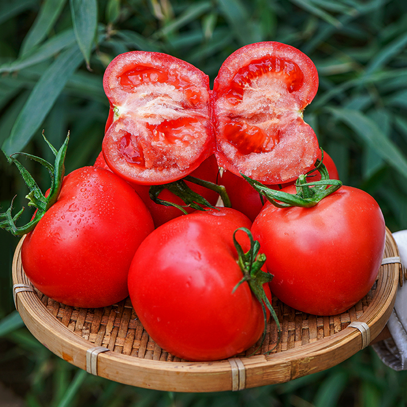 普罗旺斯水果西红柿，果肉糯糯沙沙，肉厚多汁