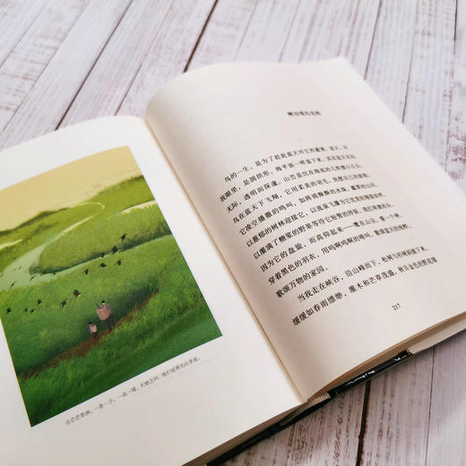【“云端书展”专区】鸟的盟约     傅菲/著      商品图4