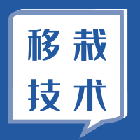 大葱移栽种植技术