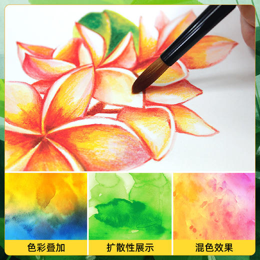 amos意大利进口固体水彩水粉画颜料套装初学者24色可水洗儿童调色盘美术水粉饼 商品图2