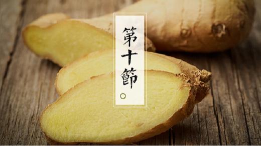 第十节 | 少年老成的姜 商品图0