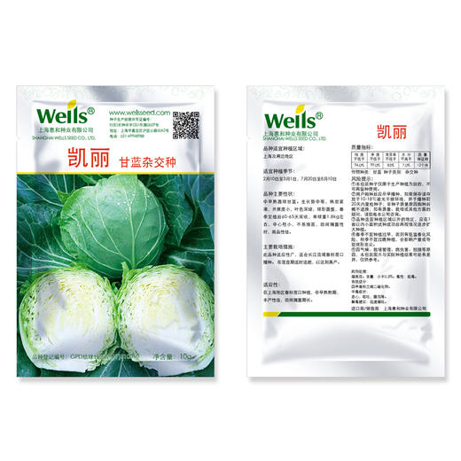 [专业种子] “凯丽”甘蓝种子   商品图1