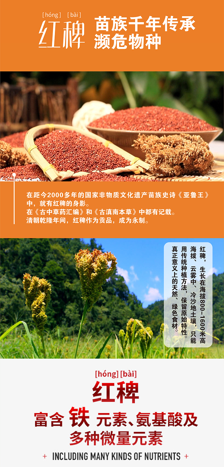 红稗的功效与作用 有赞