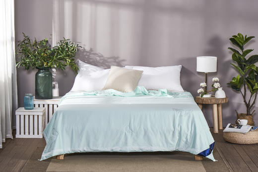 【新品】蚕蛹蛋白养护夏被 商品图1