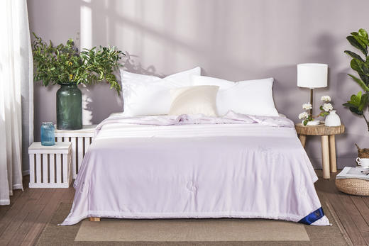 【新品】蚕蛹蛋白养护夏被 商品图3