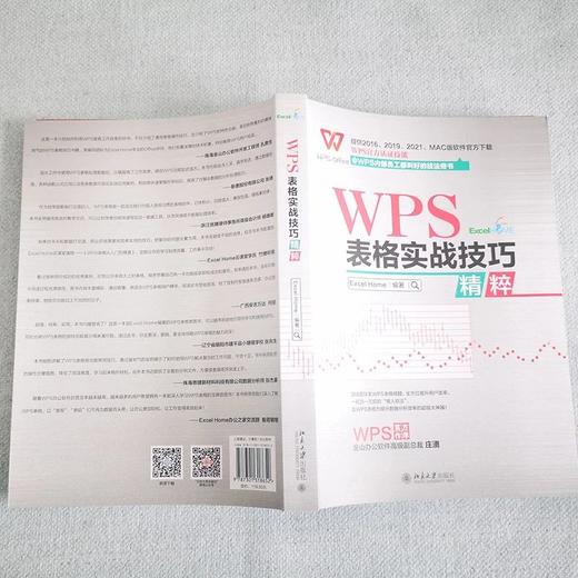 《WPS 表格实战技巧精粹》作者：Excel Home 编著 定价：119元 商品图2