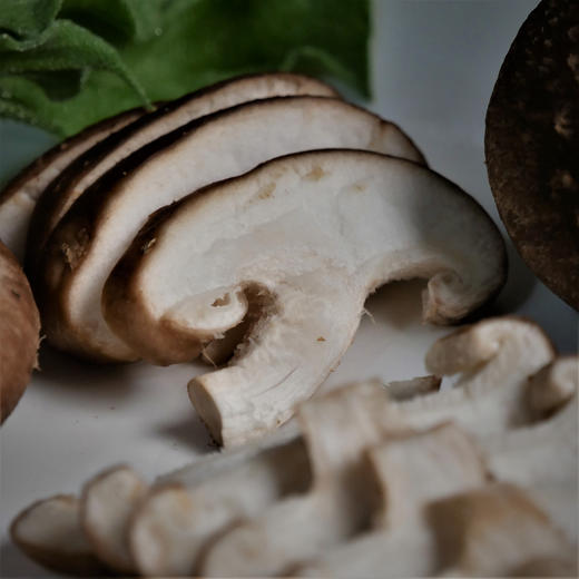 鲜松香菇鲜嫩滑脆合作生产xianggumushroomcoproducted