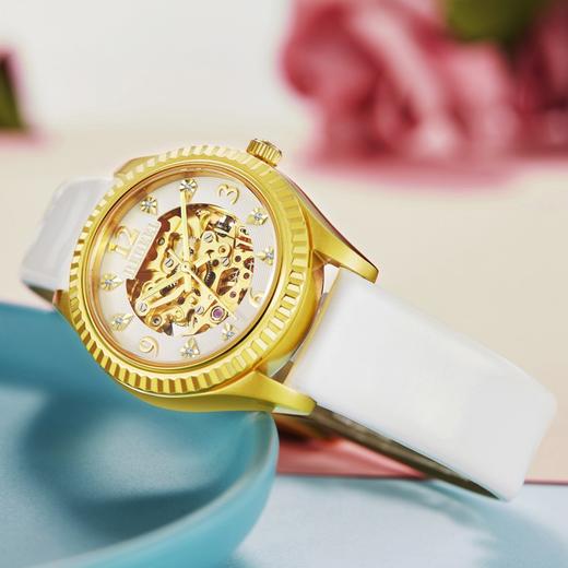 【授权产品】 2019新款送礼女表网红手表钻石镂空机械女表进口机芯女士手表 商品图1