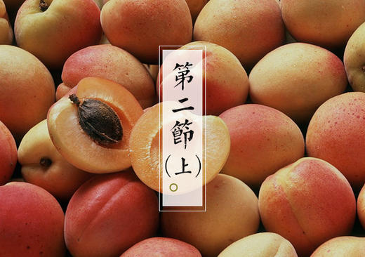 第二节（上）| 风能护肤植物油 商品图0