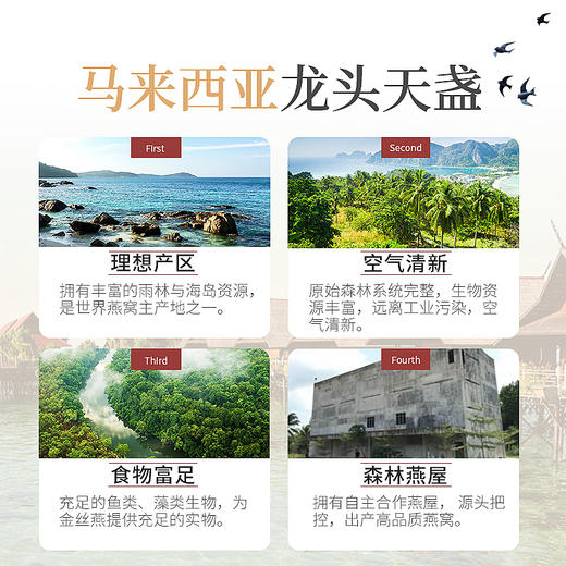 【优选8星】 庄民 燕窝 干燕窝白燕盏 100g 马来进口溯源干盏 养生健康礼盒 商品图2