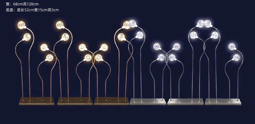 莱斯路引【运费自理】 商品图1