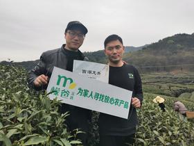 杭州龙坞 【西湖龙井】