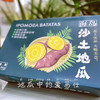 海南桥头—爱马仕板栗高糖地瓜 商品缩略图6