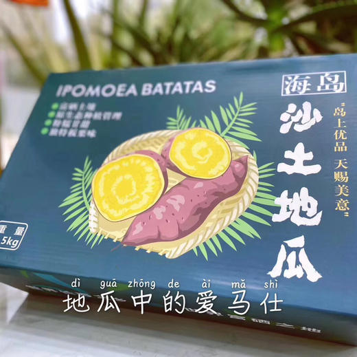 海南桥头—爱马仕板栗高糖地瓜 商品图6