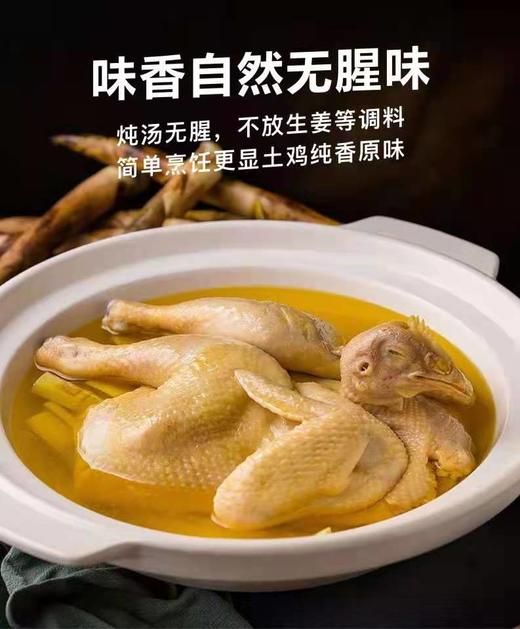 丘北有机高原土鸡 商品图2