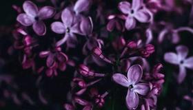 【不期而遇。】